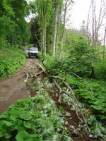 14th June 2008 009